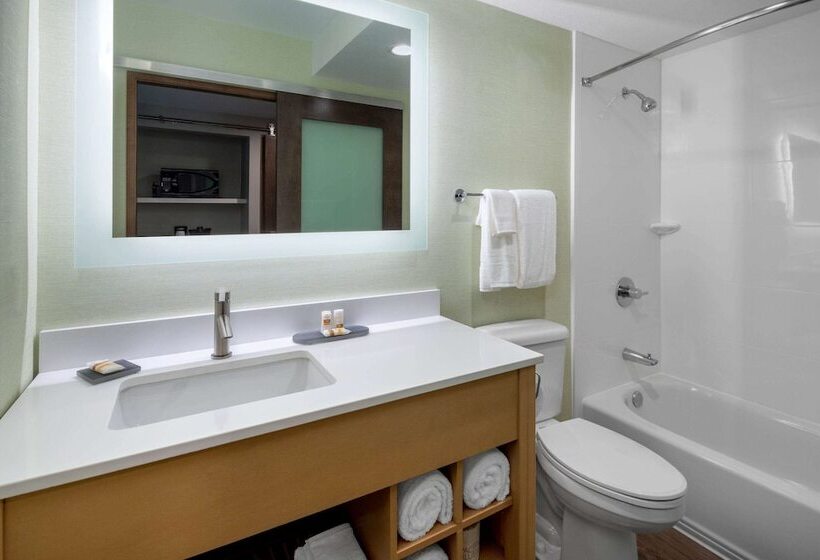 Номер Стандарт 2 Двуспальные Кровати, Hilton Garden Inn Los Angeles Airport