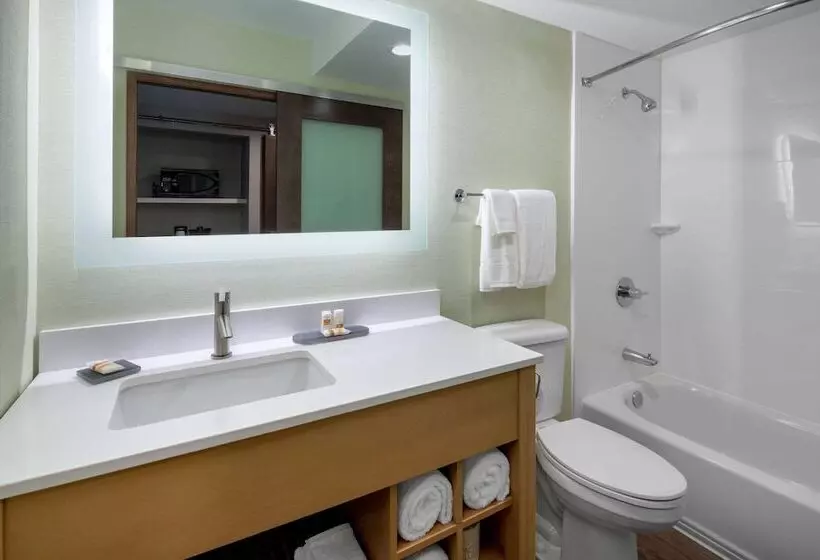 ２ダブルベッドのスタンダードルーム, Hilton Garden Inn Los Angeles Airport