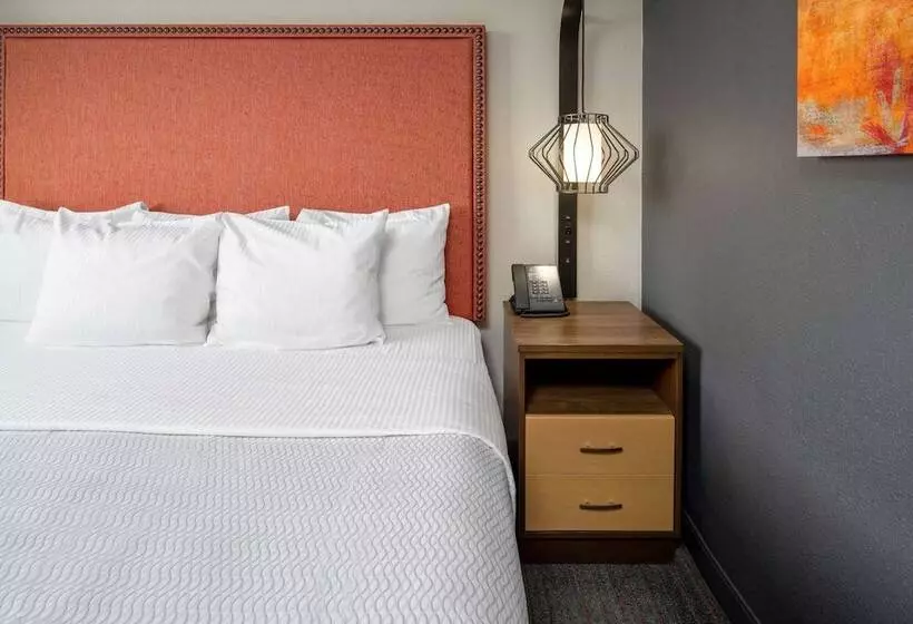 ２ダブルベッドのスタンダードルーム, Hilton Garden Inn Los Angeles Airport