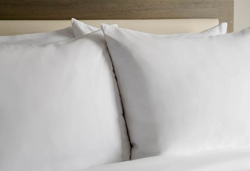 غرفه قياسيه سريرين مزدوجين, The Jay, Autograph Collection