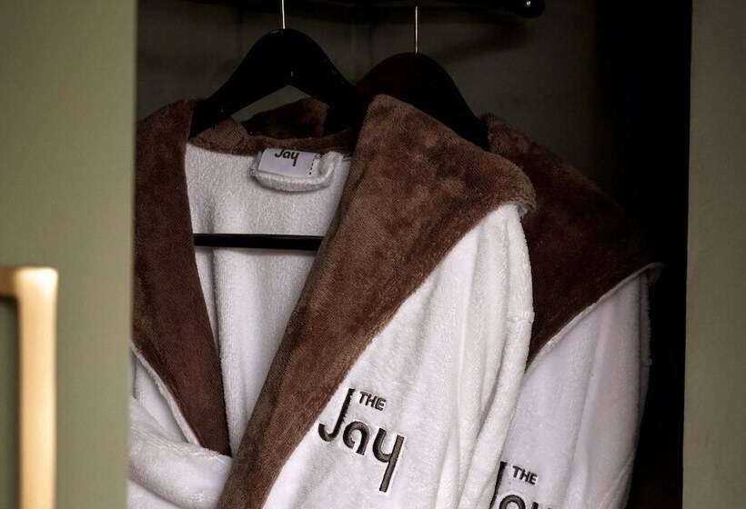 غرفه قياسيه سريرين مزدوجين, The Jay, Autograph Collection