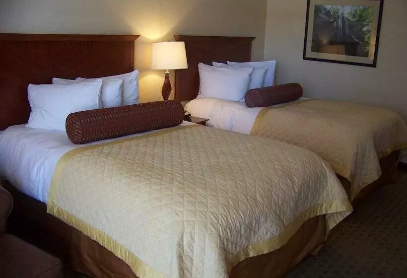 اتاق اجرایی, Norfolk Country Inn And Suites