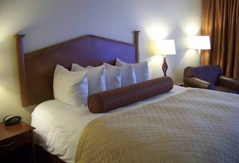 اتاق اجرایی, Norfolk Country Inn And Suites
