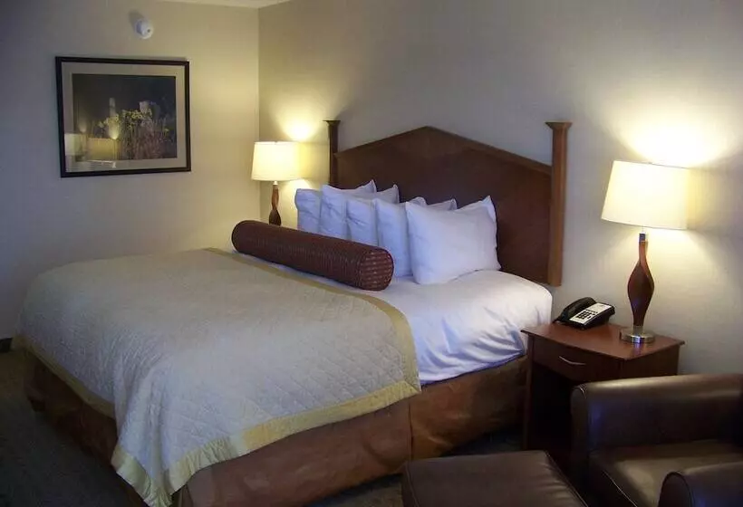 اتاق اجرایی, Norfolk Country Inn And Suites