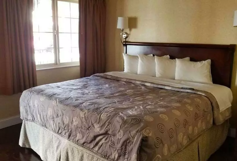 キングサイズベッドのスタンダードルーム, Pacific Heights Inn