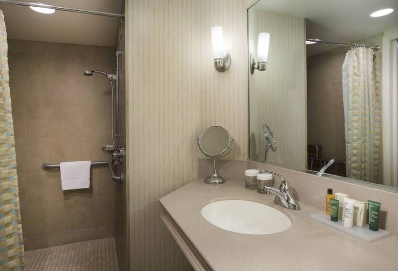 غرفة قياسية سرير مزدوج لذوى الإحتياجات الخاصة, Parc 55 San Franciscoa Hilton