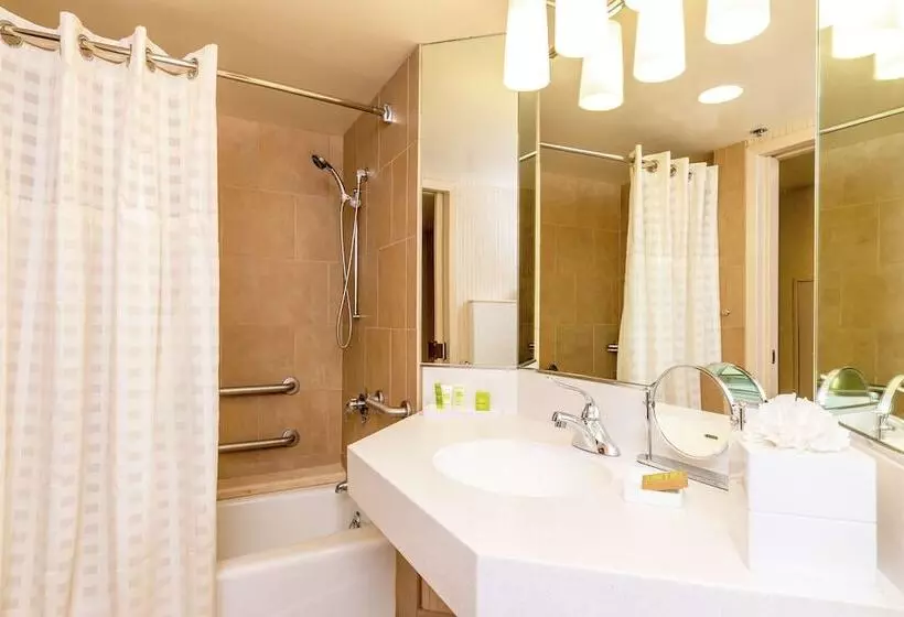 اتاق استاندارد با تخت دوبل برای معلولان, Parc 55 San Franciscoa Hilton