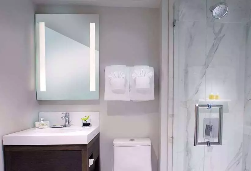 اتاق دلوکس با تخت کینگ و چشمانداز, Parc 55 San Franciscoa Hilton