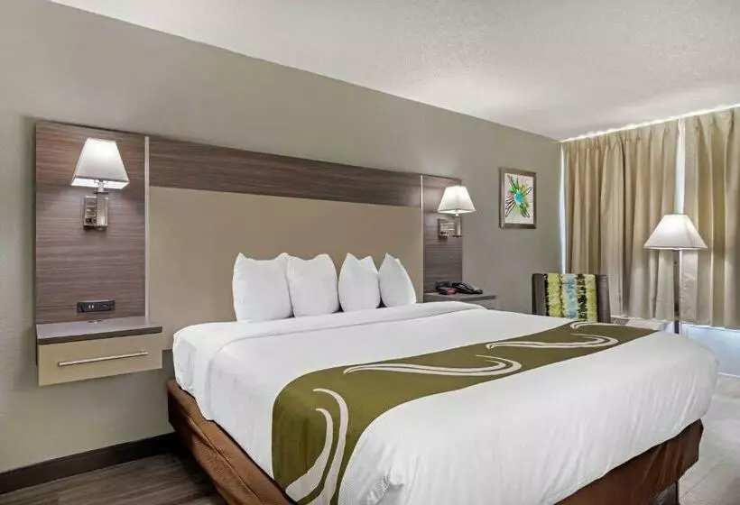 キングサイズベッドのスタンダードルーム, Quality Inn & Suites
