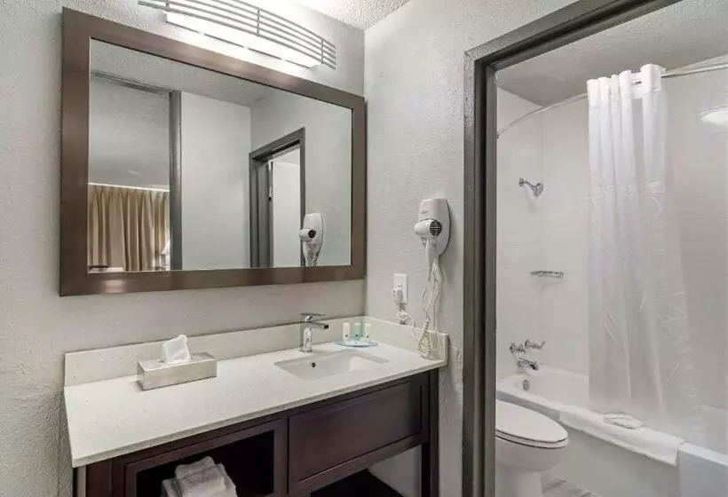キングサイズベッドのスタンダードルーム, Quality Inn & Suites