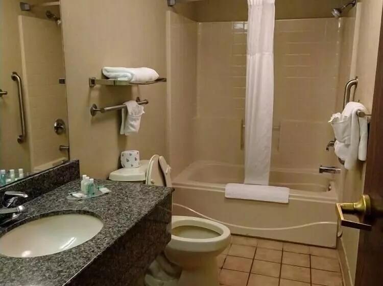 スイート, Quality Inn & Suites Skyways