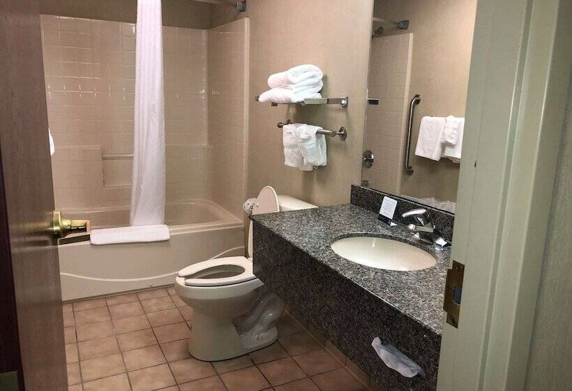 Люкс, Quality Inn & Suites Skyways