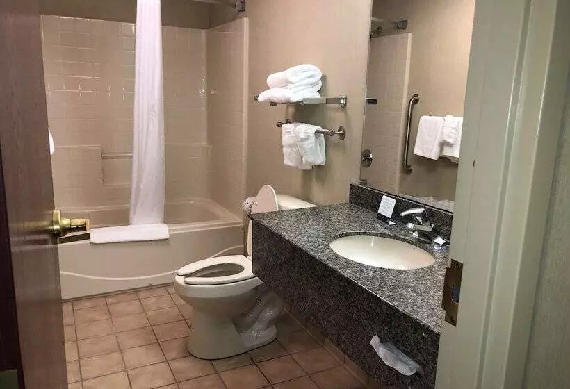 スイート, Quality Inn & Suites Skyways