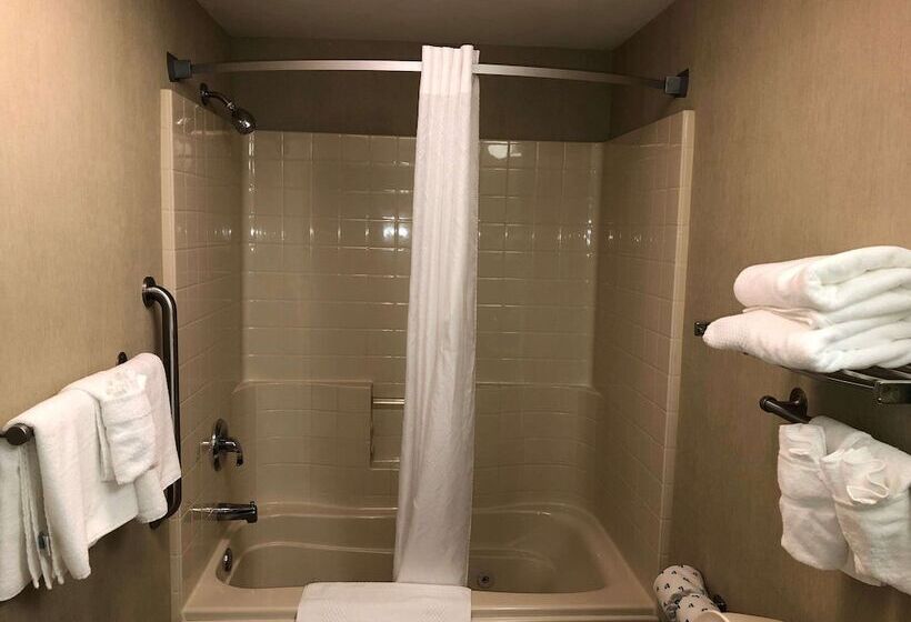 جناح, Quality Inn & Suites Skyways