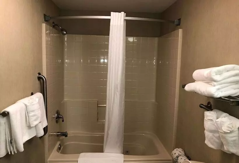 スイート, Quality Inn & Suites Skyways