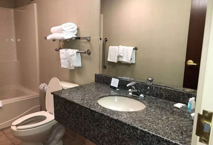 スイート, Quality Inn & Suites Skyways