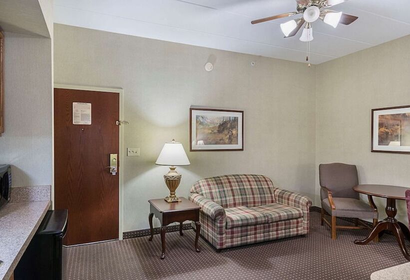 Люкс, Quality Inn & Suites Skyways