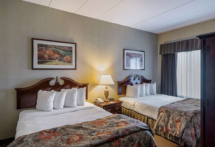 Люкс, Quality Inn & Suites Skyways