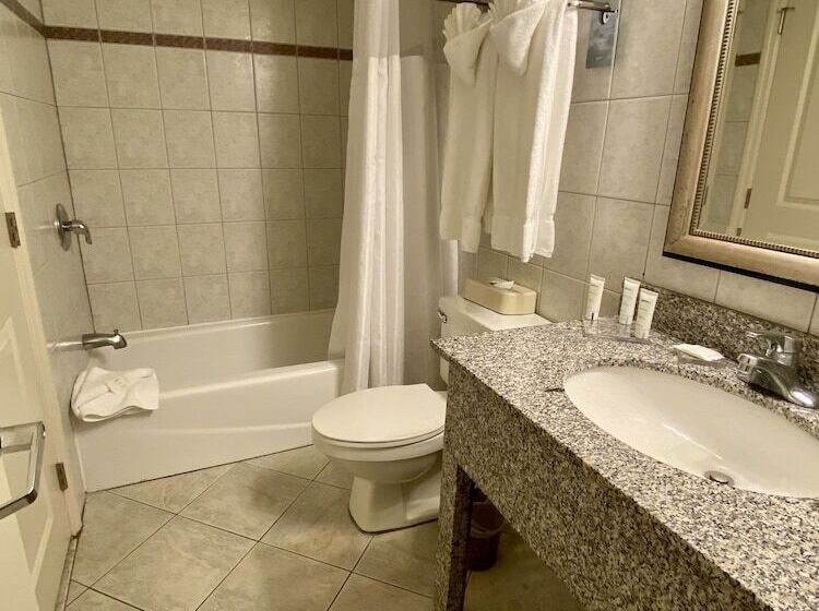 סוויטת פרמיום עם נוף לים, Radisson Suite Hotel Oceanfront