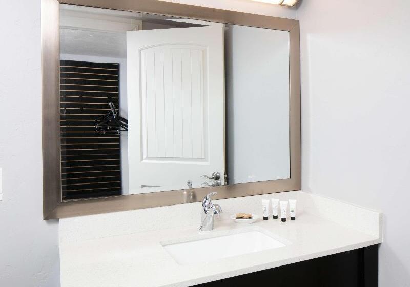 اتاق استاندارد با تخت بزرگ, Red Lion Inn & Suites Tucson Downtown