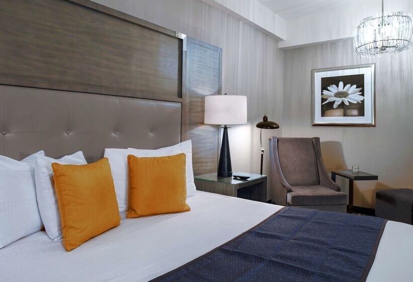 スタンダードルーム, Robert Treat