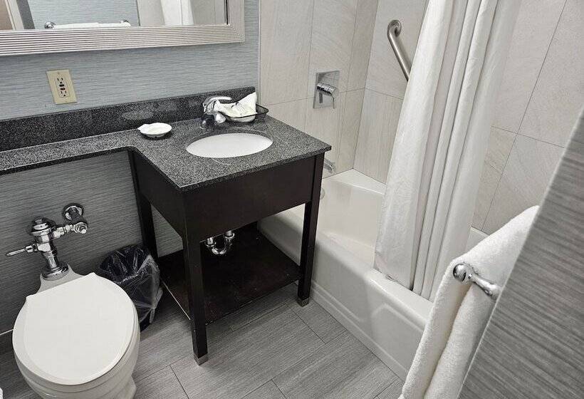 スタンダードルーム, Robert Treat