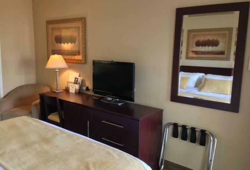 Chambre Standard Lit King Size, Travelodge By Wyndham Presidio San Francisco