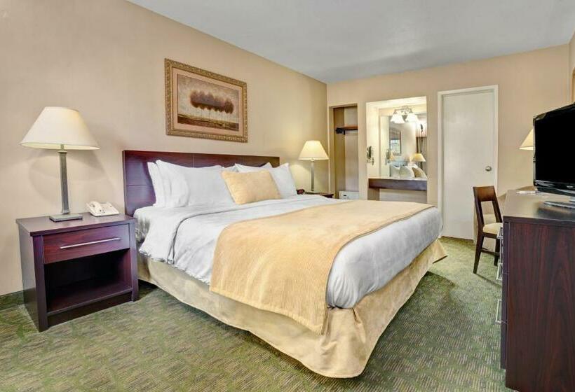 스탠다드 룸 킹사이즈 침대, Travelodge By Wyndham Presidio San Francisco