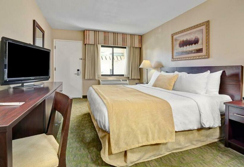 스탠다드 룸 킹사이즈 침대, Travelodge By Wyndham Presidio San Francisco