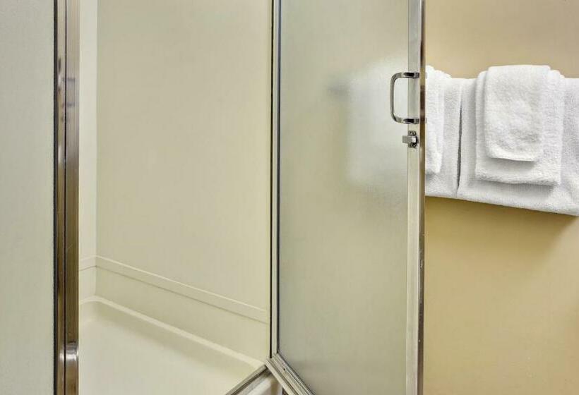 스탠다드 룸 킹사이즈 침대, Travelodge By Wyndham Presidio San Francisco