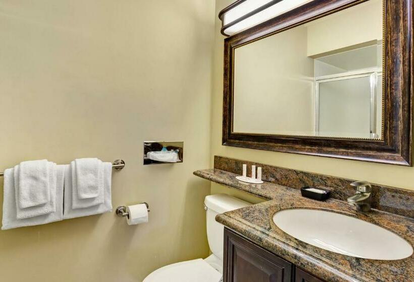 Chambre Standard Lit King Size, Travelodge By Wyndham Presidio San Francisco