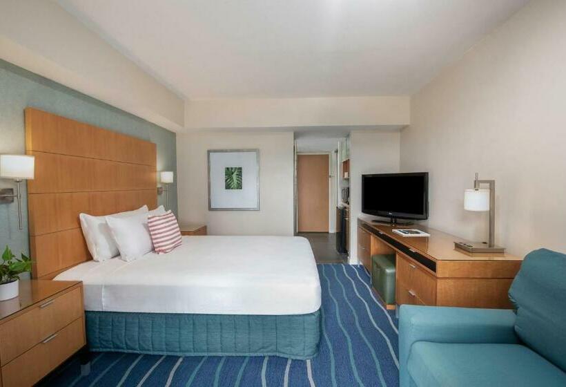 带城市景观的标准间, Ala Moana Hotel By Mantra