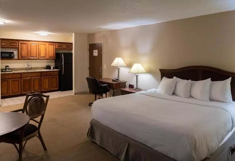 キングサイズベッドのスタンダードルーム, Cottonwood Suites Savannah Hotel & Conference Center