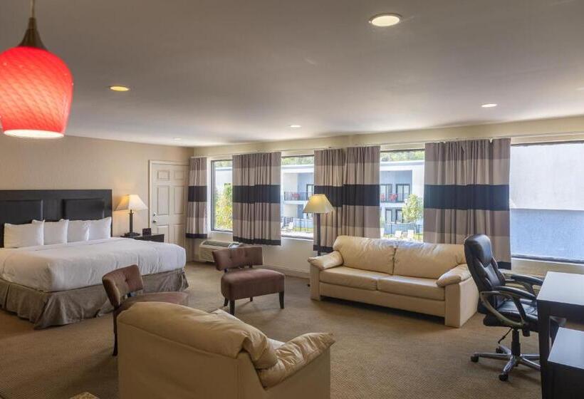 스탠다드 룸 킹사이즈 침대, Cottonwood Suites Savannah Hotel & Conference Center