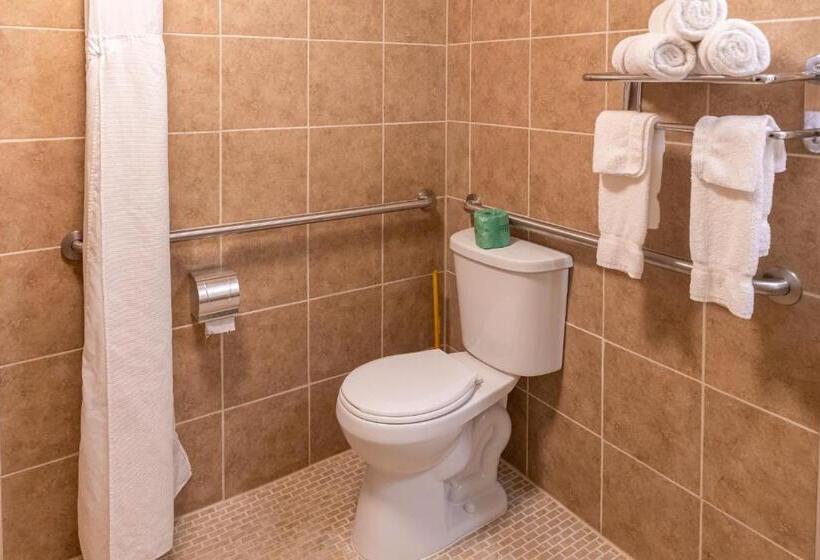 스탠다드 룸, Cottonwood Suites Savannah Hotel & Conference Center