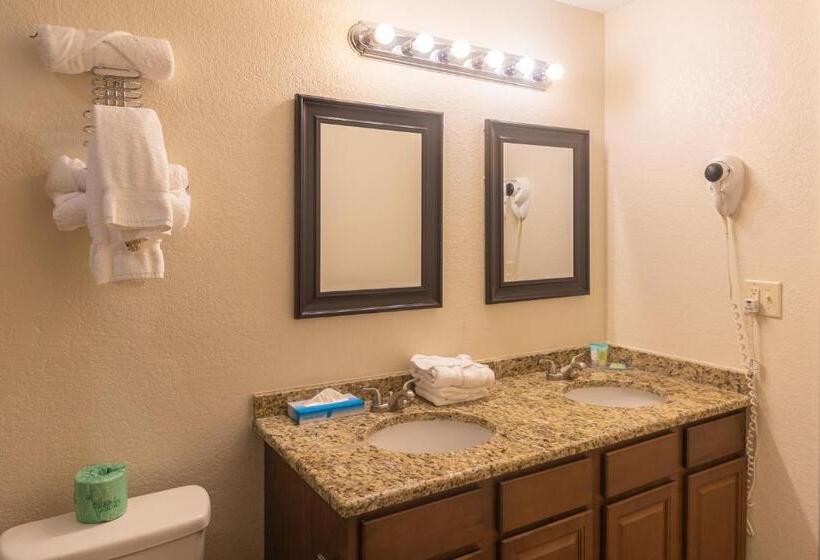 디럭스 스위트 킹 침대, Cottonwood Suites Savannah Hotel & Conference Center