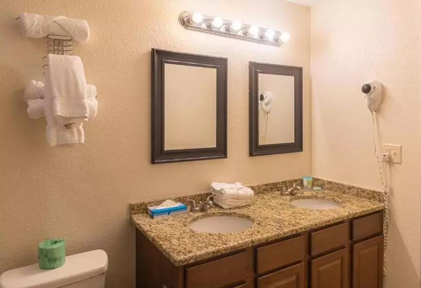 キングサイズベッドのデラックススイート, Cottonwood Suites Savannah Hotel & Conference Center