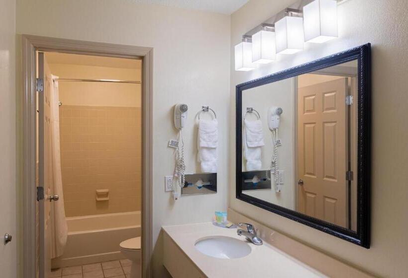 Люкс Deluxe Кровать Кинг, Cottonwood Suites Savannah Hotel & Conference Center