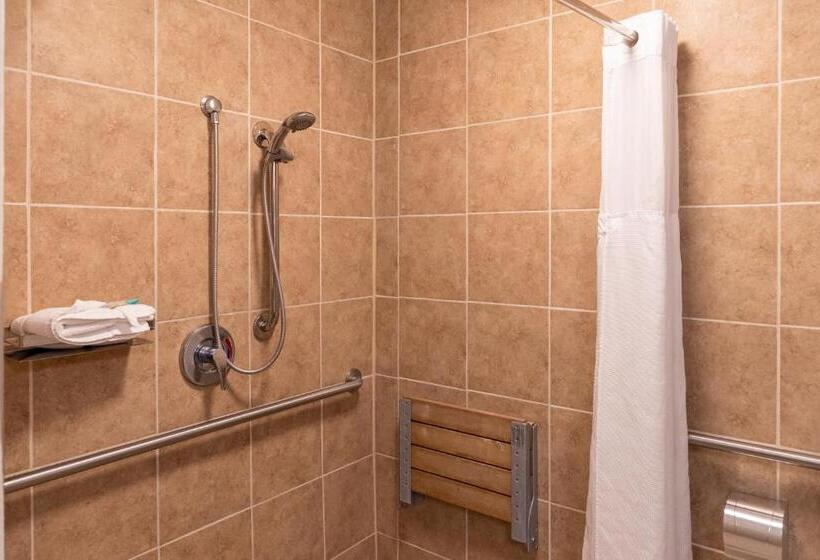 Люкс Deluxe Кровать Кинг, Cottonwood Suites Savannah Hotel & Conference Center