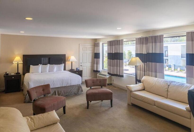 디럭스 스위트 킹 침대, Cottonwood Suites Savannah Hotel & Conference Center