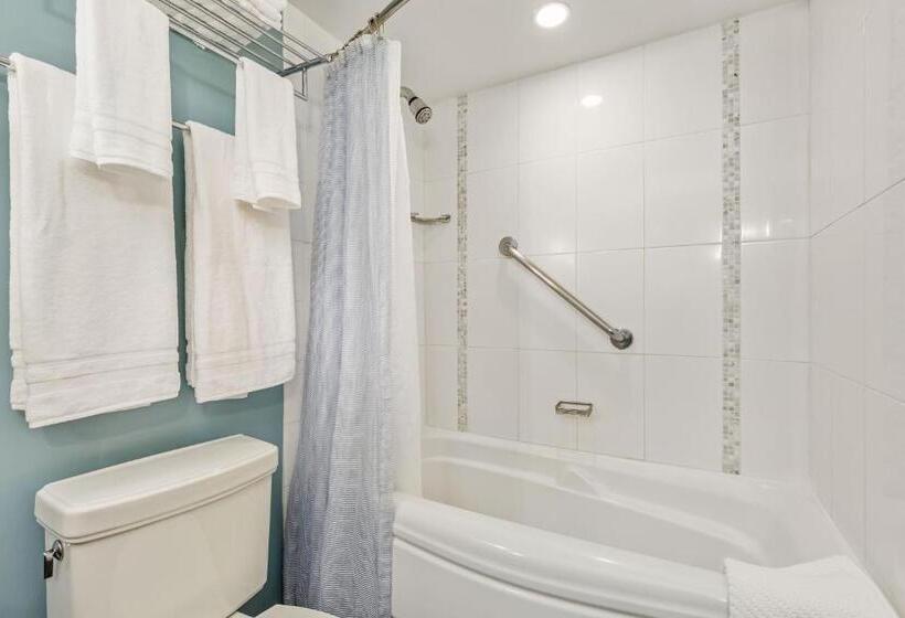 海の見えるスタンダードスタジオ, Ala Moana Hotel By Mantra