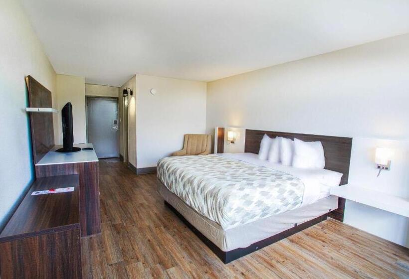 장애인을 위한 킹사이즈 침대 스탠다드 룸, Americas Best Value Inn Winston Salem, Nc