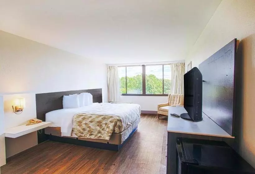 キングサイズベッドのスタンダードルーム, Americas Best Value Inn Winston Salem, Nc