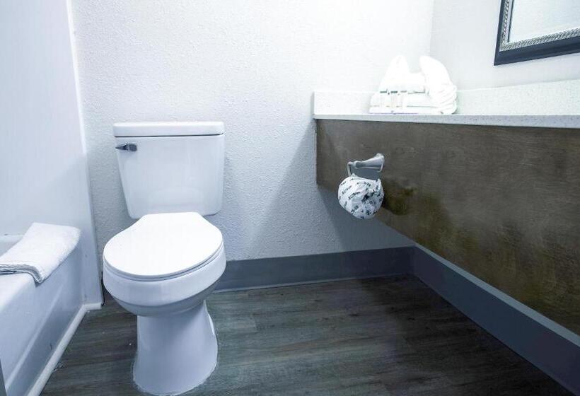 스탠다드 룸 킹사이즈 침대, Americas Best Value Inn Winston Salem, Nc