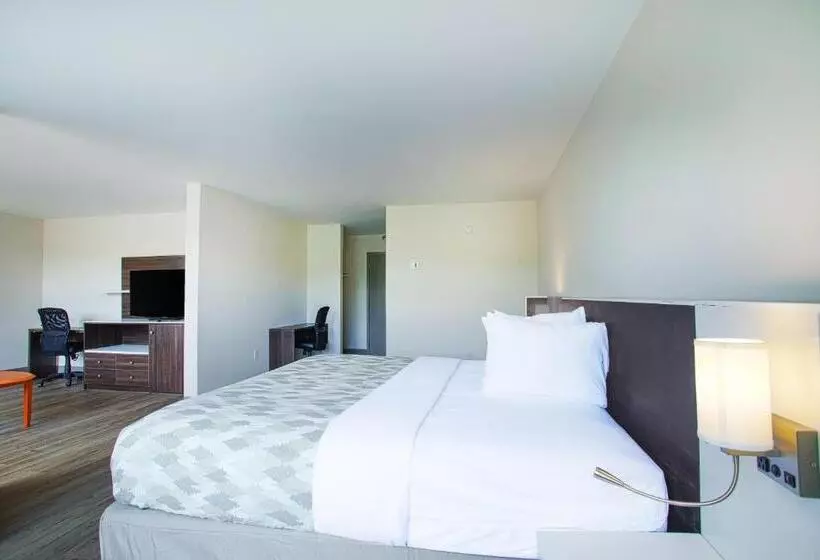 キングサイズベッドのスイートルーム, Americas Best Value Inn Winston Salem, Nc