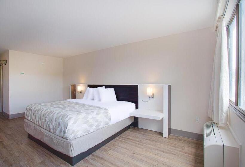 带大床的套房, Americas Best Value Inn Winston Salem, Nc