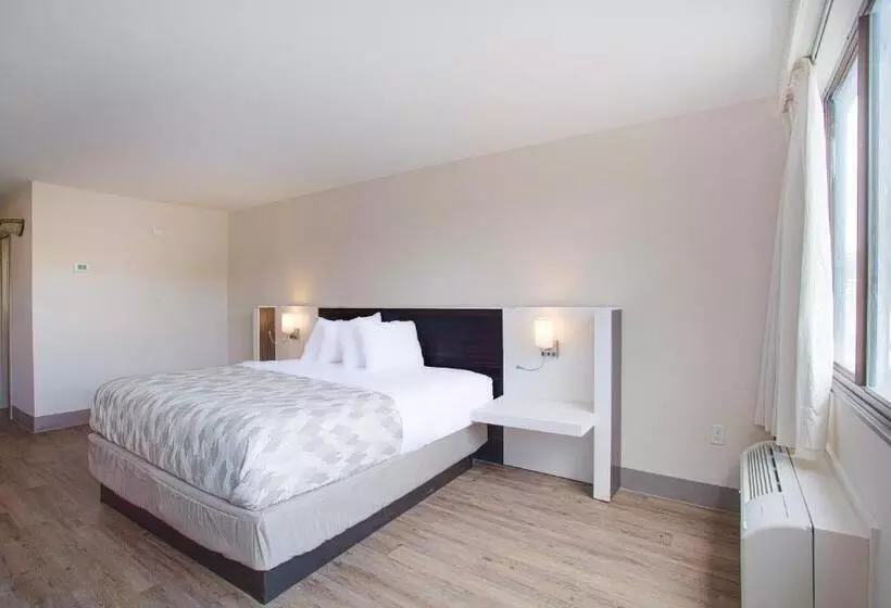 キングサイズベッドのスイートルーム, Americas Best Value Inn Winston Salem, Nc