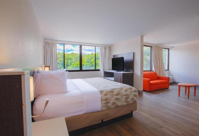 스위트 킹사이즈 침대, Americas Best Value Inn Winston Salem, Nc