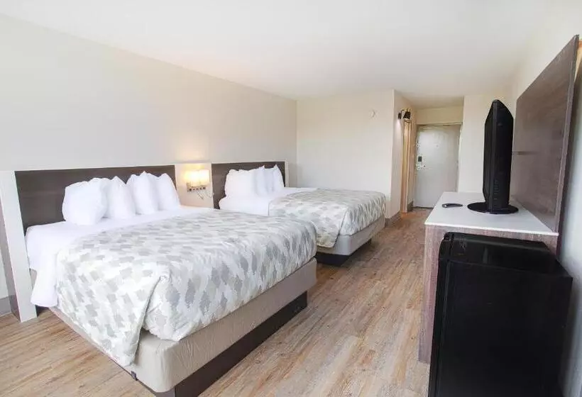 スタンダードルーム, Americas Best Value Inn Winston Salem, Nc