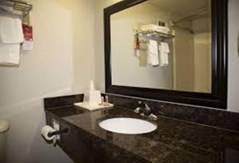 غرفه قياسيه سريرين مزدوجين, Econo Lodge